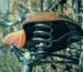 Finding a saddle that suits an upright riding position